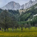 Family - Dachstein View Daire Ramsau am Dachstein
