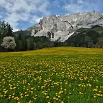 Family - Dachstein View Daire