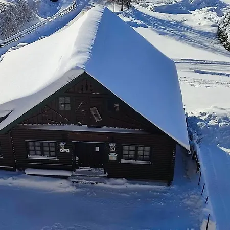 Family - Dachstein View Апартаменты