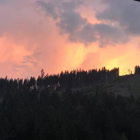 Family - Dachstein View Апартаменты *