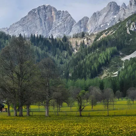 Family - Dachstein View Апартаменты Рамзау