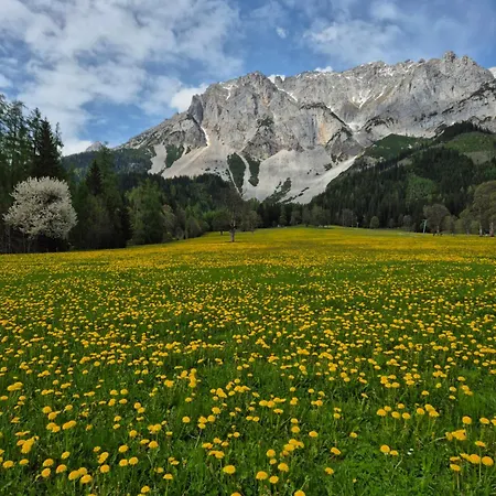 Family - Dachstein View Apartament