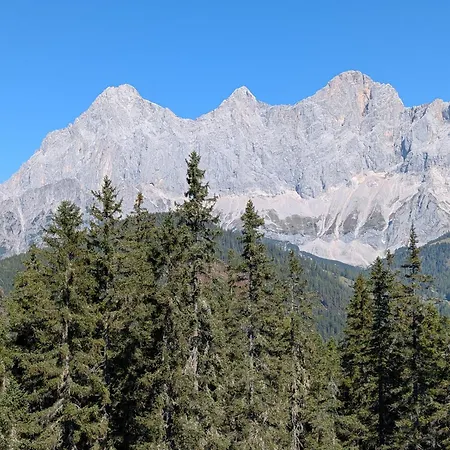 Appartement Family - Dachstein View *