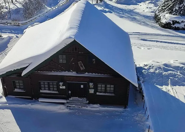 Family - Dachstein View Apartment