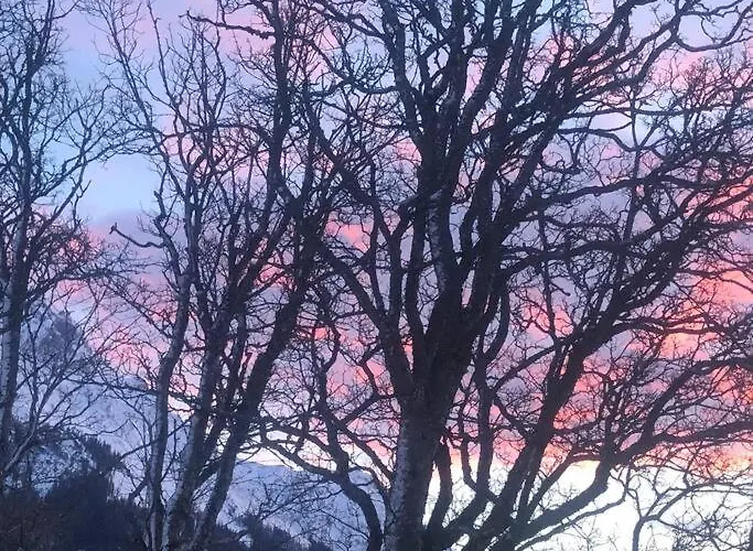 Apartment Family - Dachstein View Ramsau am Dachstein