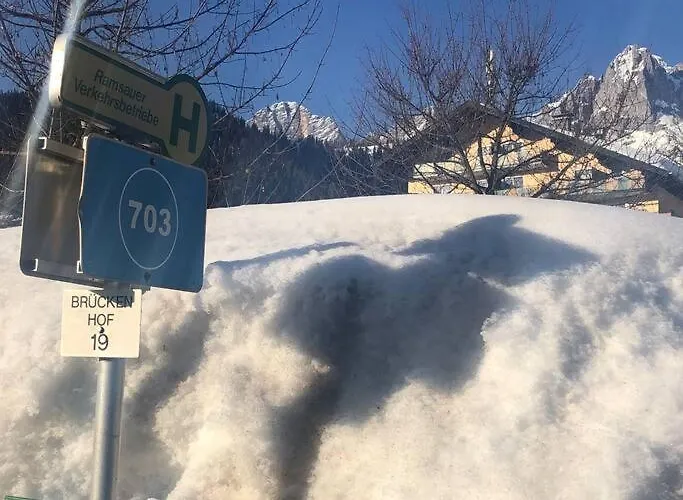 Apartment Family - Dachstein View