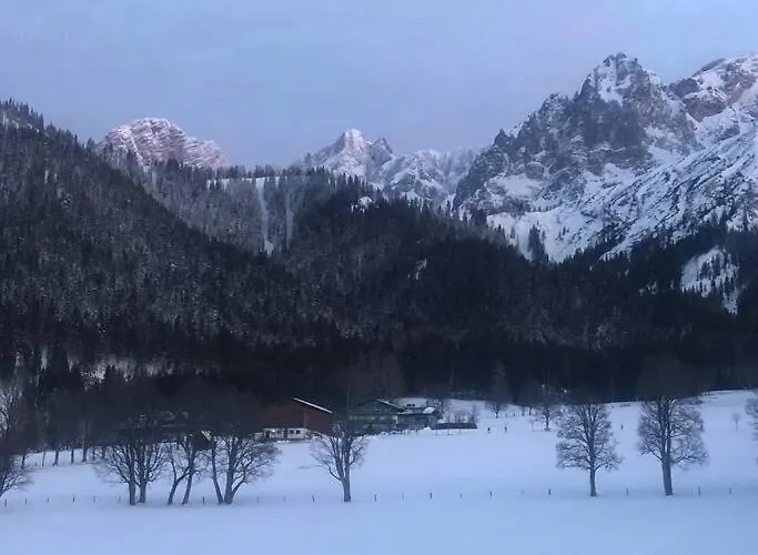 Apartment Family - Dachstein View