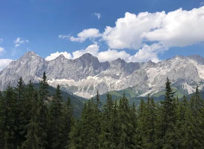 Apartment Family - Dachstein View