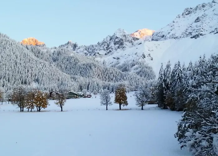 Apartment Family - Dachstein View *