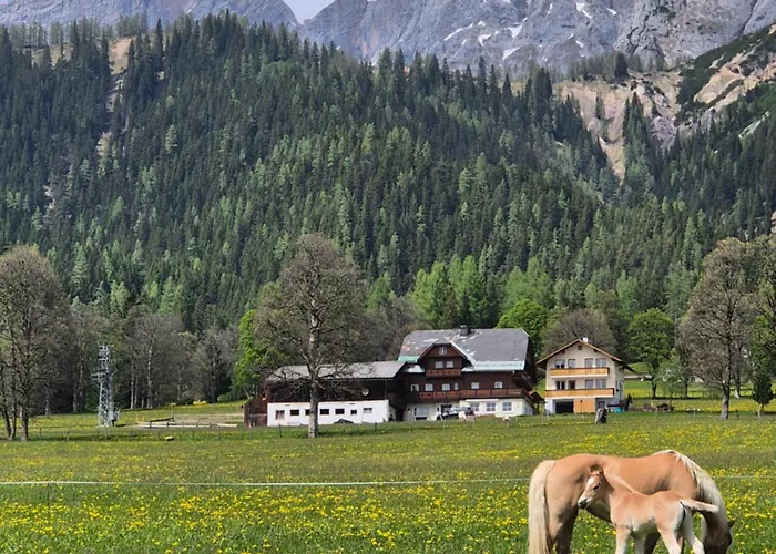 Family - Dachstein View * Ramsau am Dachstein