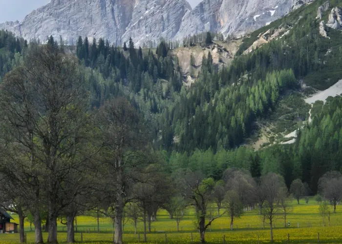 Family - Dachstein View Apartment Ramsau am Dachstein