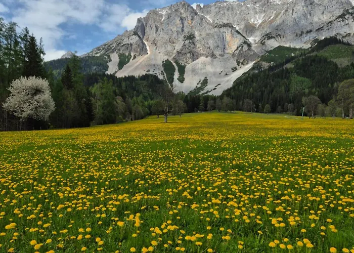 Family - Dachstein View Apartment
